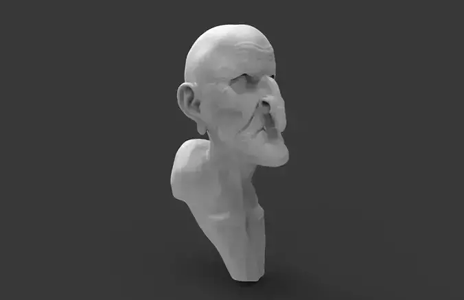 Old Man Bust