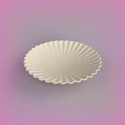 Dinner Plate 3D print model 7