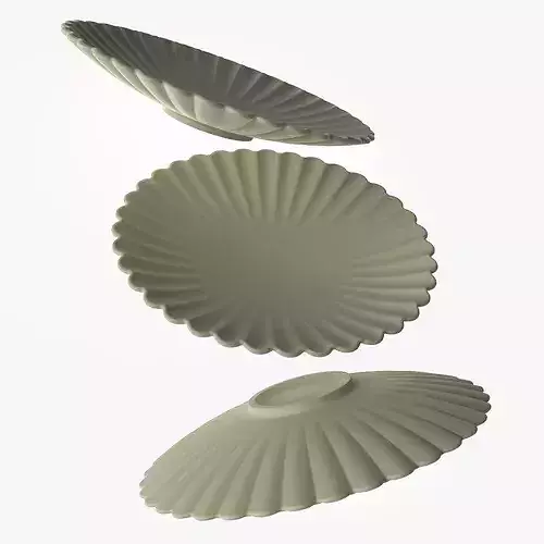Dinner Plate 3D print model 5