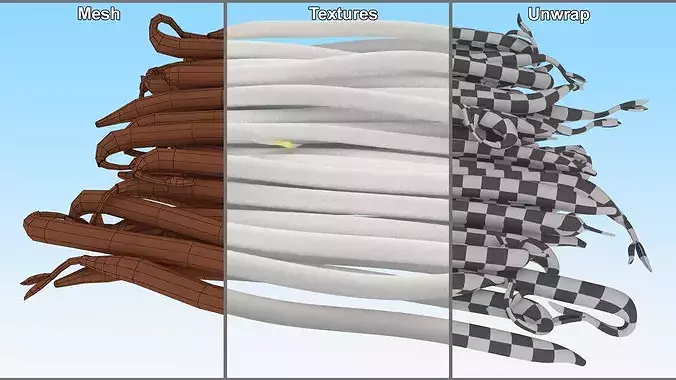 Fresh White Bean Sprouts 3D model 7