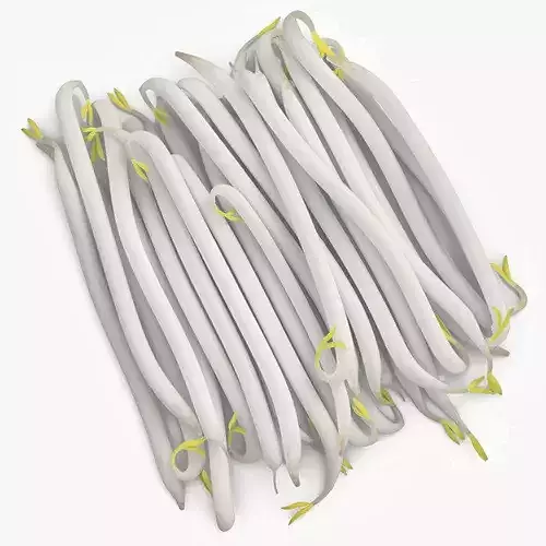 Fresh White Bean Sprouts 3D model 5