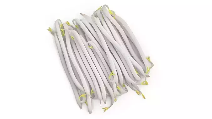 Fresh White Bean Sprouts 3D model