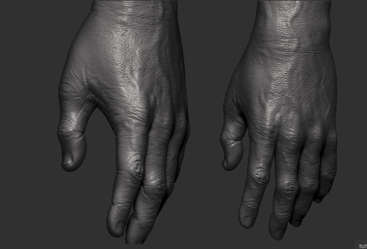 Hand Zbrush Realistic 3D model_2