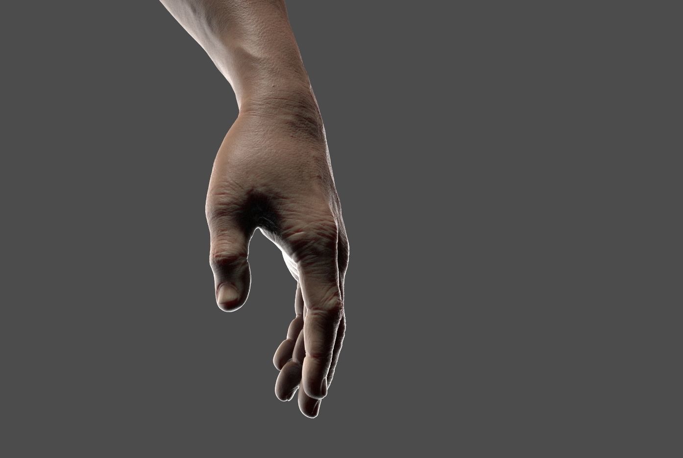 Hand Zbrush Realistic 3D model_7