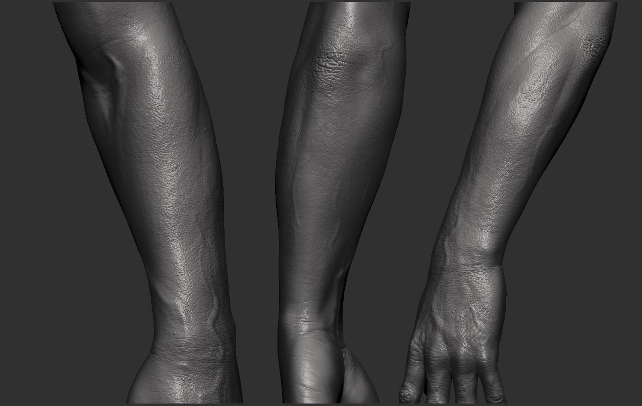 Hand Zbrush Realistic 3D model_5