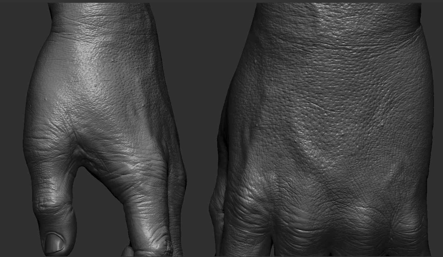 Hand Zbrush Realistic 3D model_3