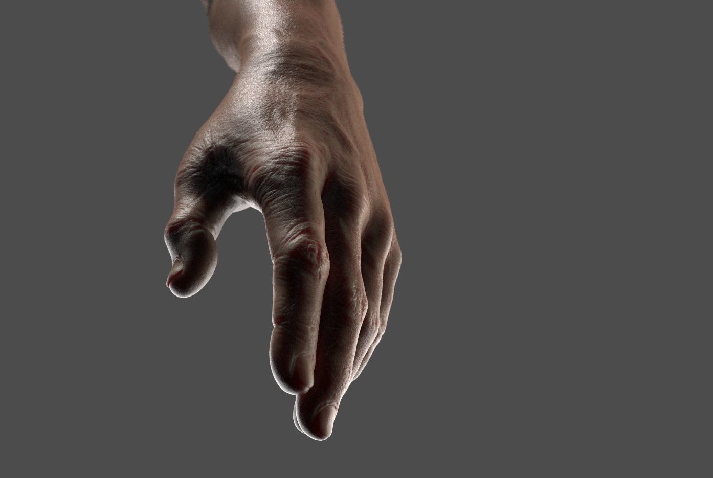 Hand Zbrush Realistic 3D model_9