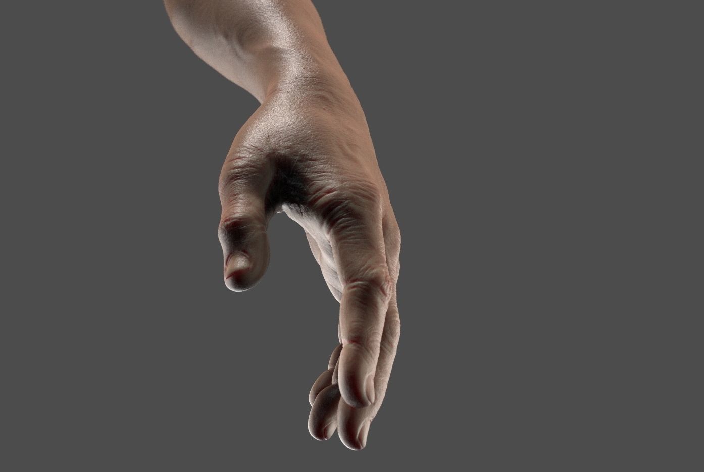 Hand Zbrush Realistic 3D model_10