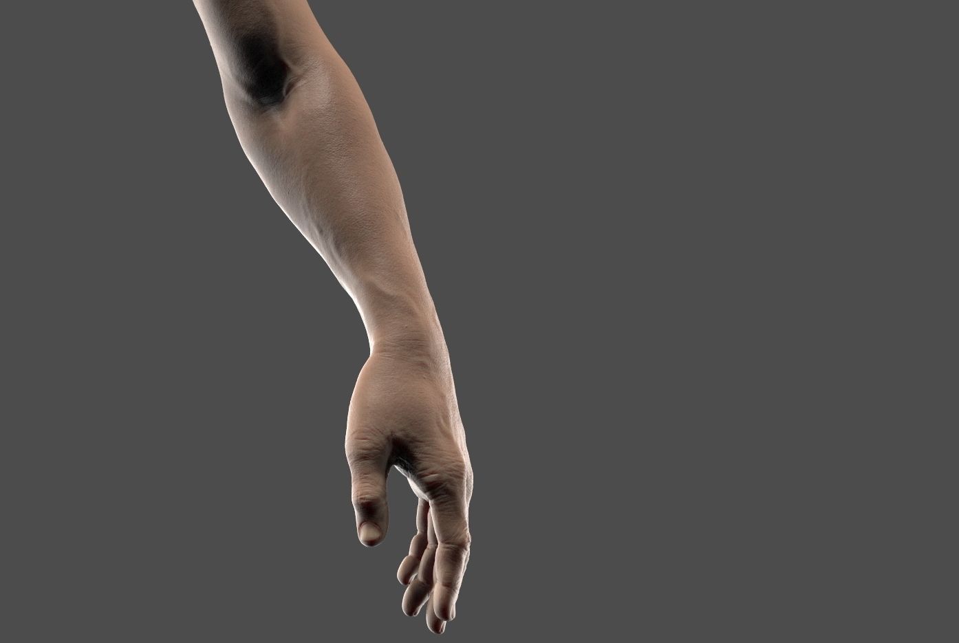 Hand Zbrush Realistic 3D model_8