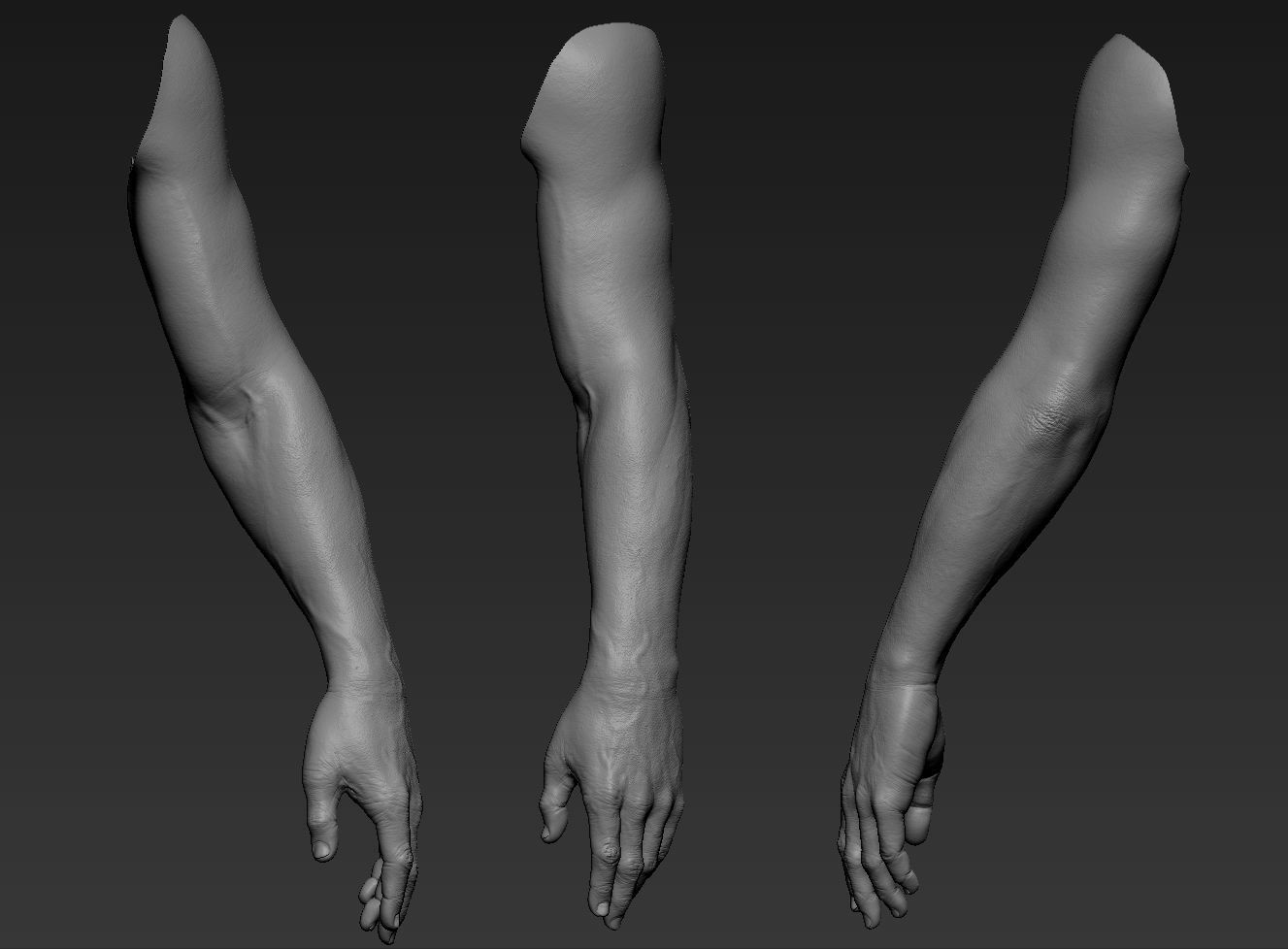Hand Zbrush Realistic 3D model_6