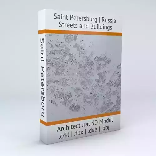 Saint Petersburg Streets and Buildings