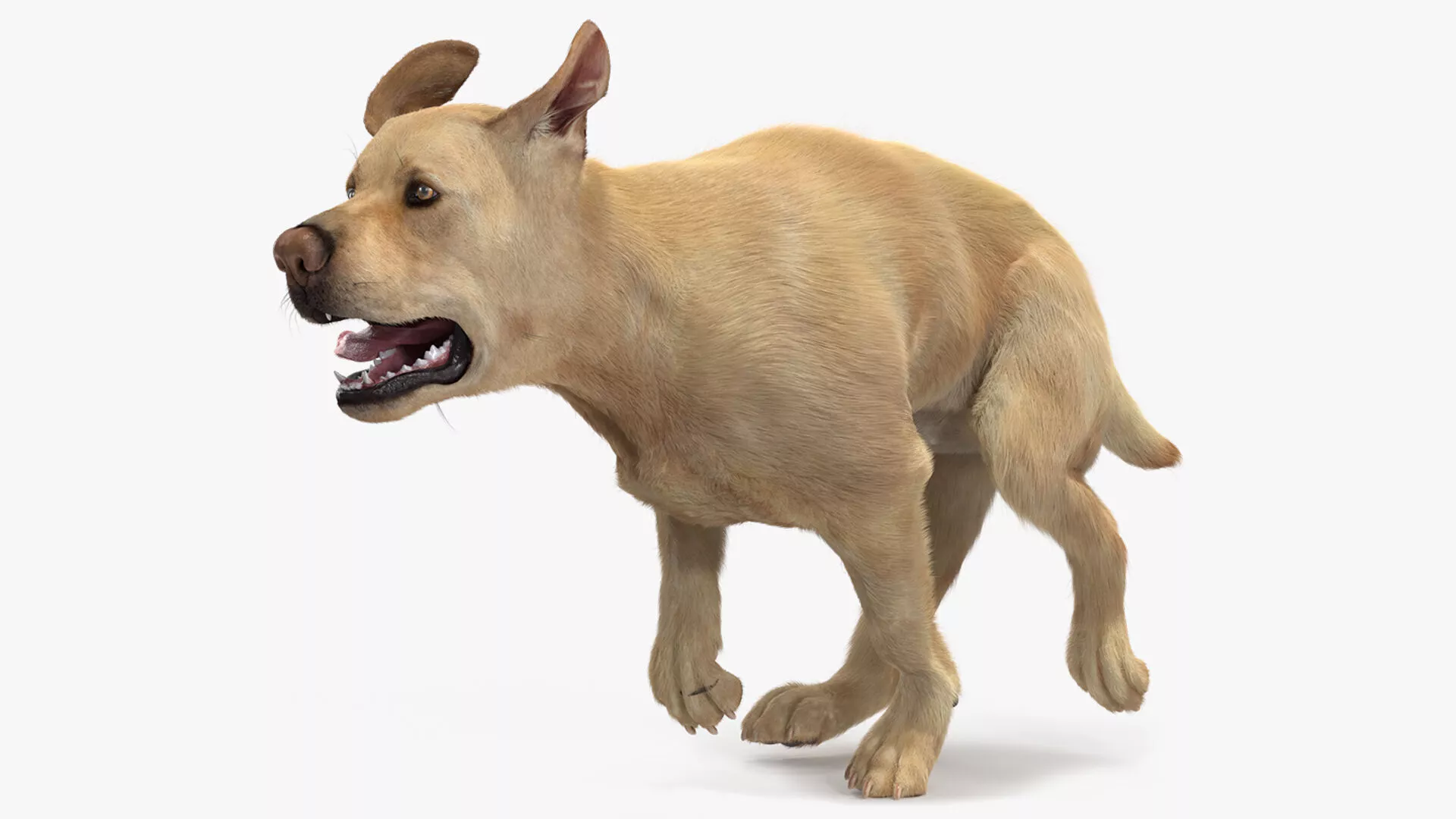 Running White Retriever Dog Fur Animated Rigged 3D model
