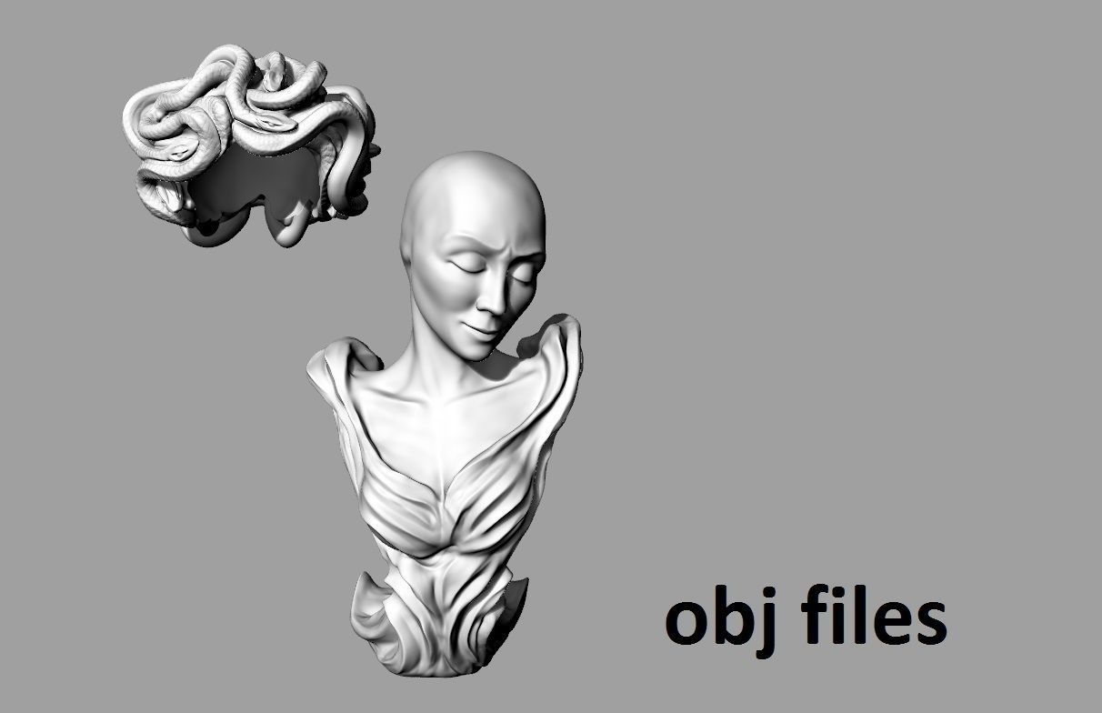 Medusa the Gorgon 3D print model_6