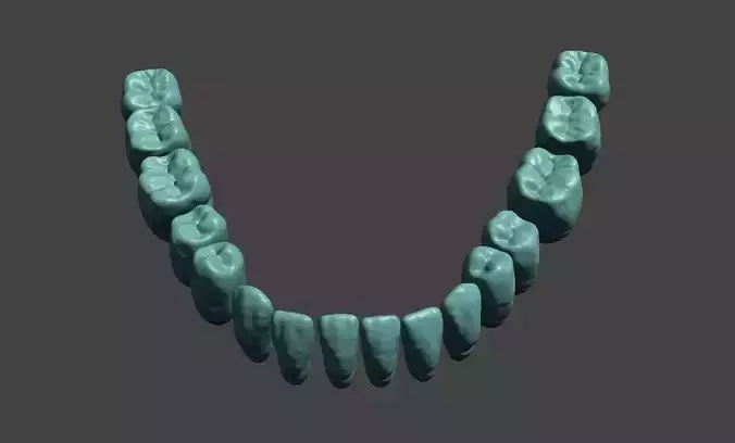 Digital Teeth