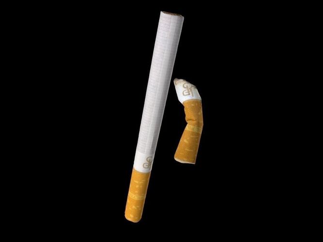 Cigarette kit - 2 models 3D model
