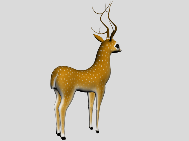 3D Deer 3D print model_5