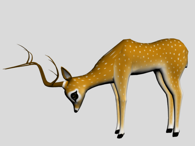 3D Deer 3D print model_7