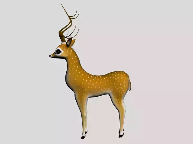 3D Deer