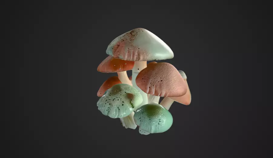Mushroom Spore Bloom Cluster 3D model