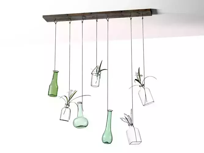 Hanging Vases