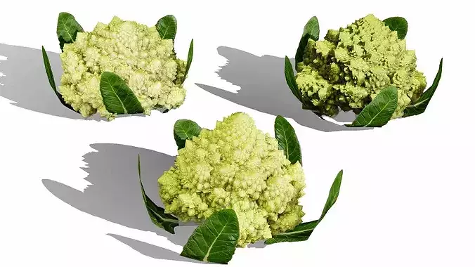 Romanesco vegetable plants Low-poly 3D model 7