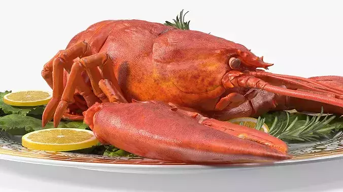 Boiled Lobster Plate with Lemon Slices and Lettuce 3D model 7