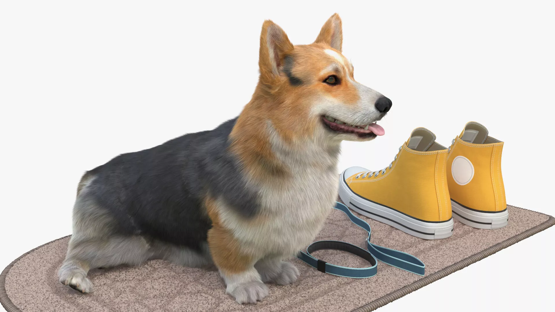 Tricolor Corgi Sitting with Leash on Doormat Fur 3D model