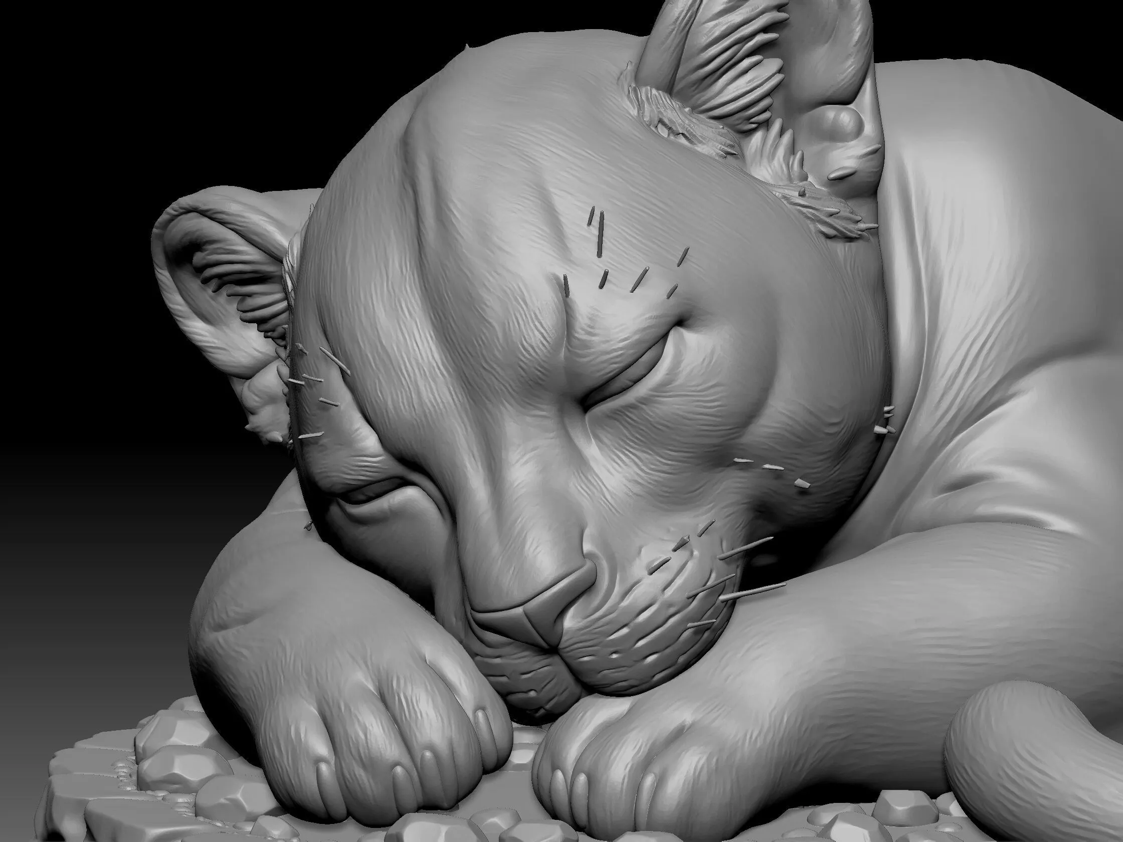 sleeping panther or cat cub 3D print model