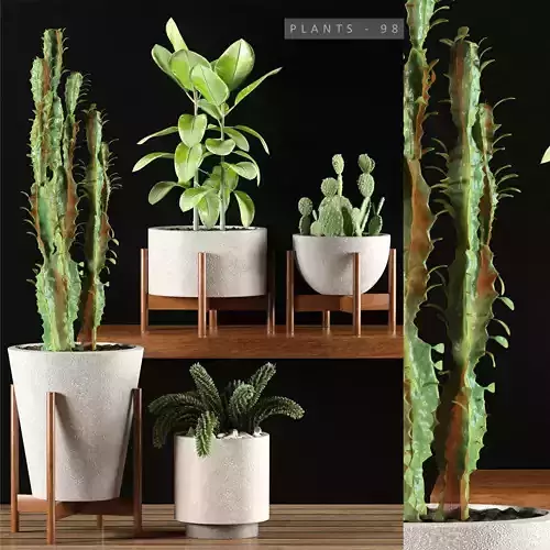plants set 98