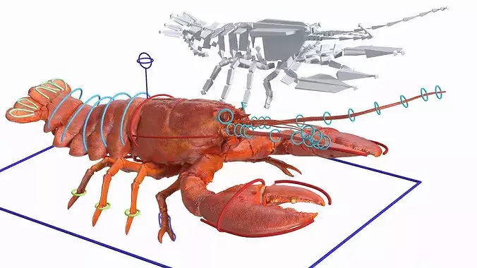 Boiled Lobster Rigged 3D model 2