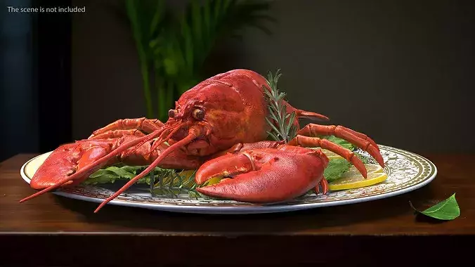 Boiled Lobster Rigged 3D model 3