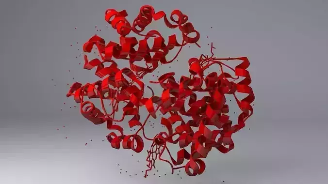 Haemoglobin Molecule Structure 3D model