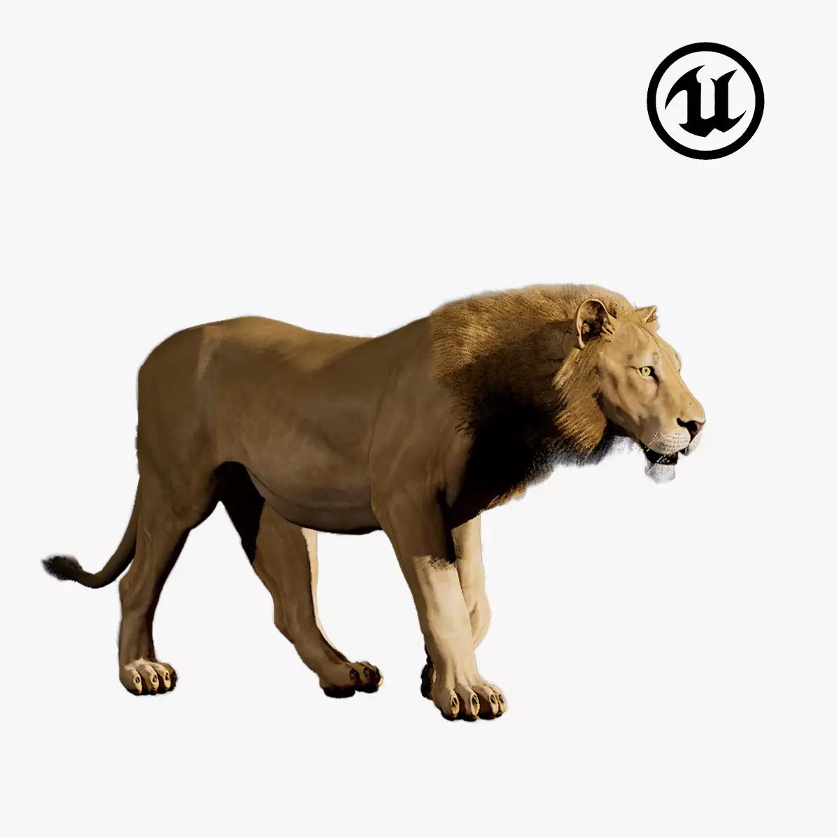 Lion - UE5 - Game-ready 3D model