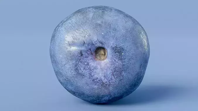 Blueberry Fruit Photogrammetry Scan Low Mid Poly PBR Low-poly 3D model 4
