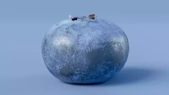 Blueberry Fruit Photogrammetry Scan Low Mid Poly PBR Low-poly 3D model 2