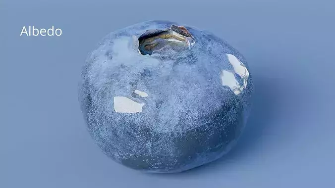 Blueberry Fruit Photogrammetry Scan Low Mid Poly PBR Low-poly 3D model 5