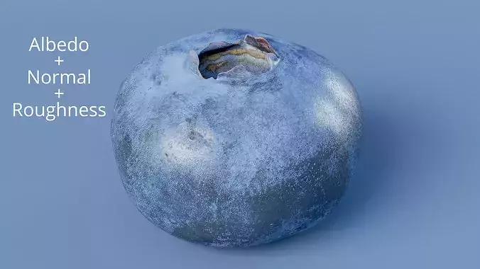 Blueberry Fruit Photogrammetry Scan Low Mid Poly PBR Low-poly 3D model 7