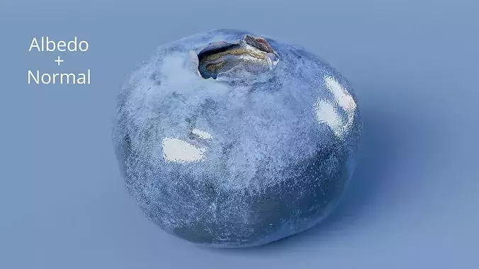 Blueberry Fruit Photogrammetry Scan Low Mid Poly PBR Low-poly 3D model 6