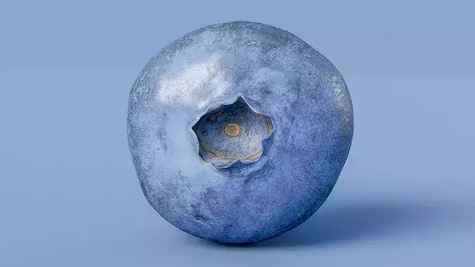Blueberry Fruit Photogrammetry Scan Low Mid Poly PBR Low-poly 3D model 3