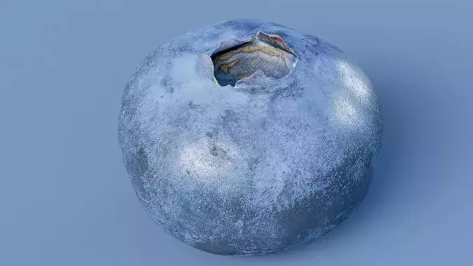 Blueberry Fruit Photogrammetry Scan Low Mid Poly PBR Low-poly 3D model