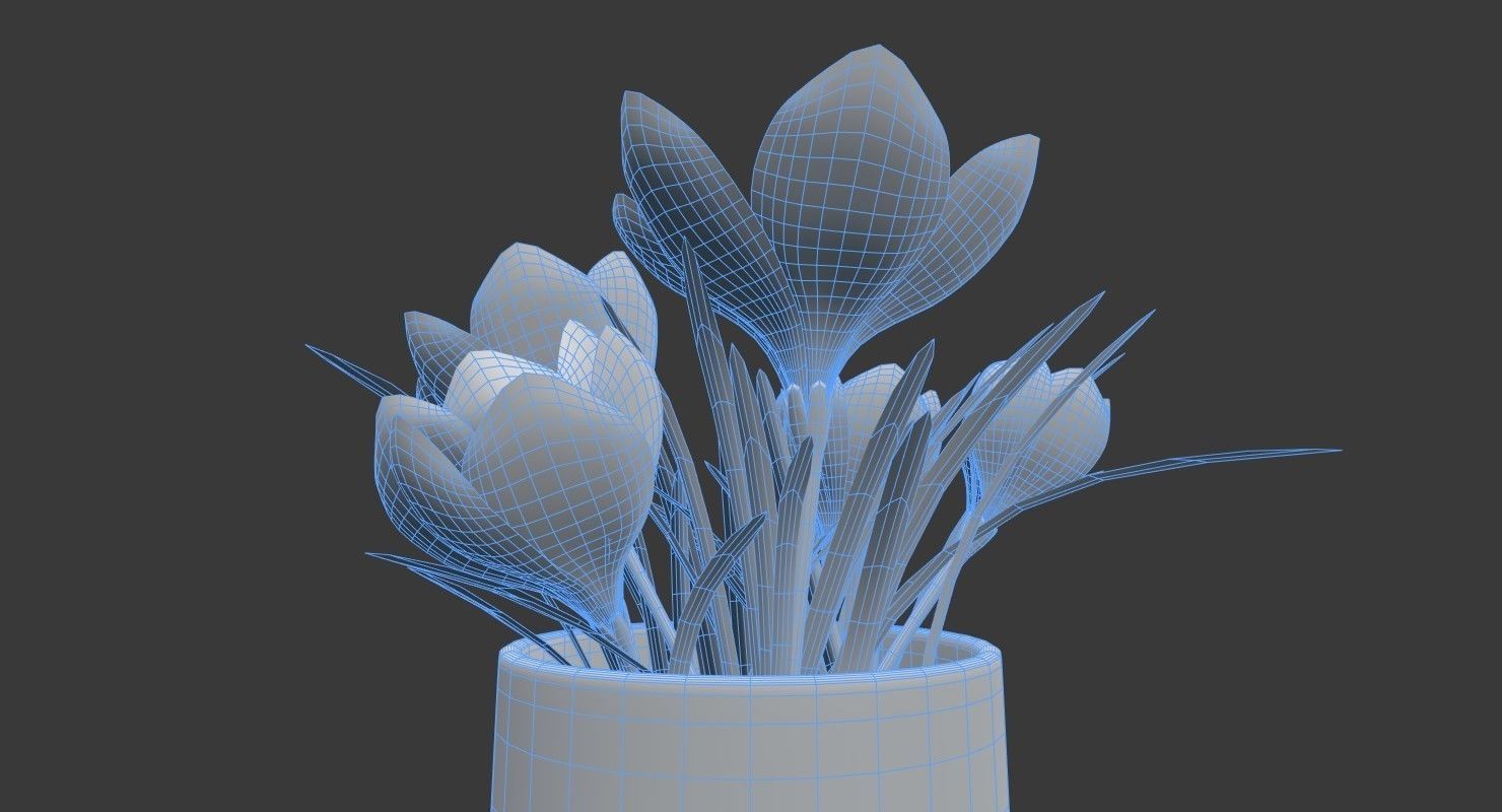 Crocus in vase 3D model_8