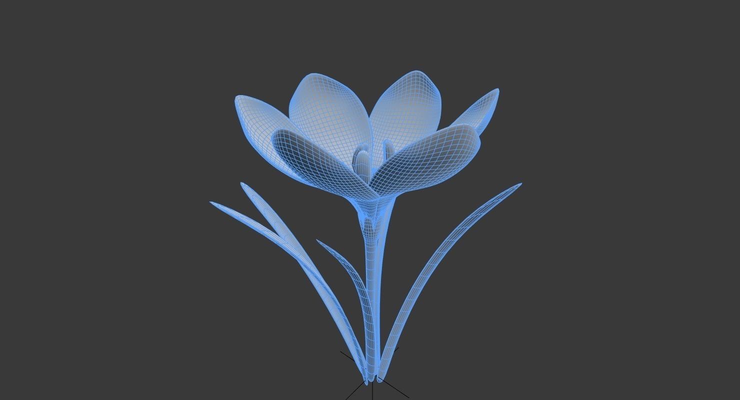 Crocus in vase 3D model_7