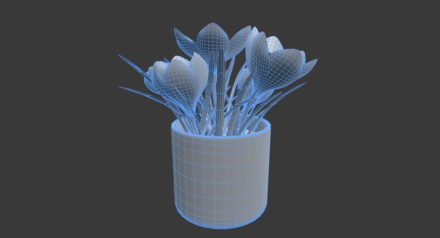 Crocus in vase 3D model_3