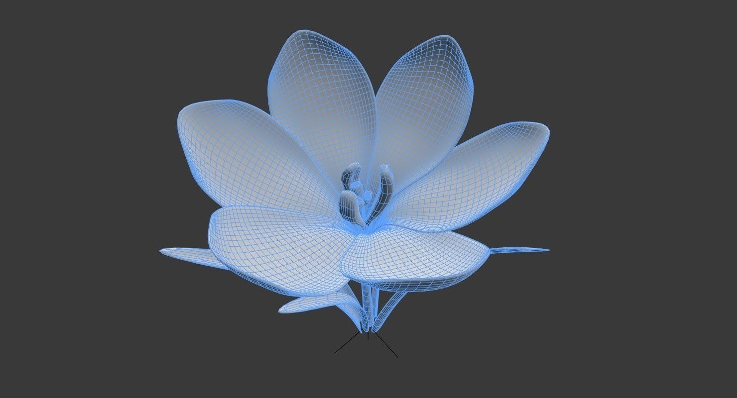 Crocus in vase 3D model_9