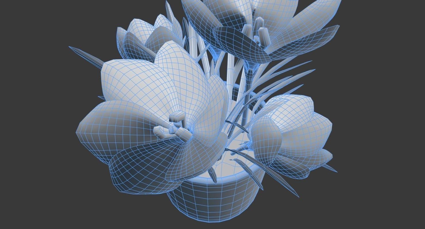 Crocus in vase 3D model_5