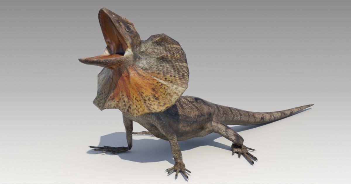 Frill-Necked Lizard Low-poly 3D model_5
