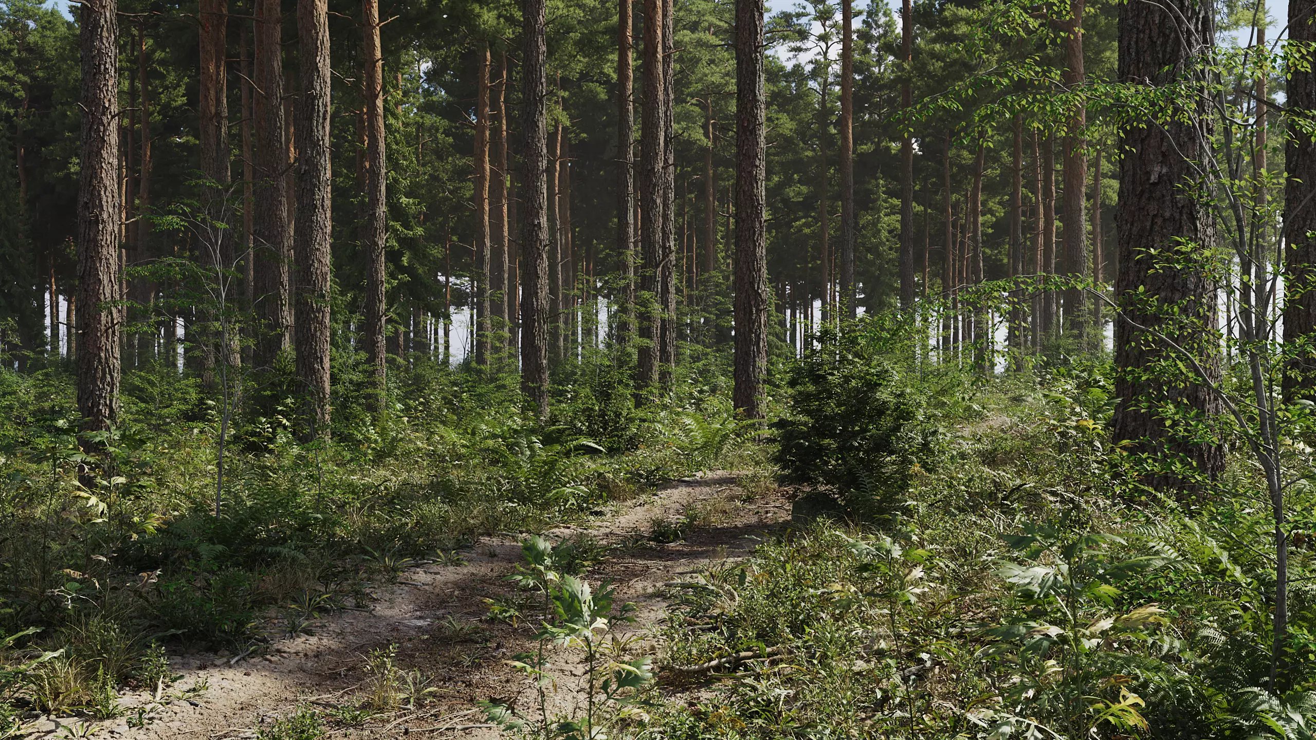 Archmodels Vol 308 - Forest Biomes Collection 3D model