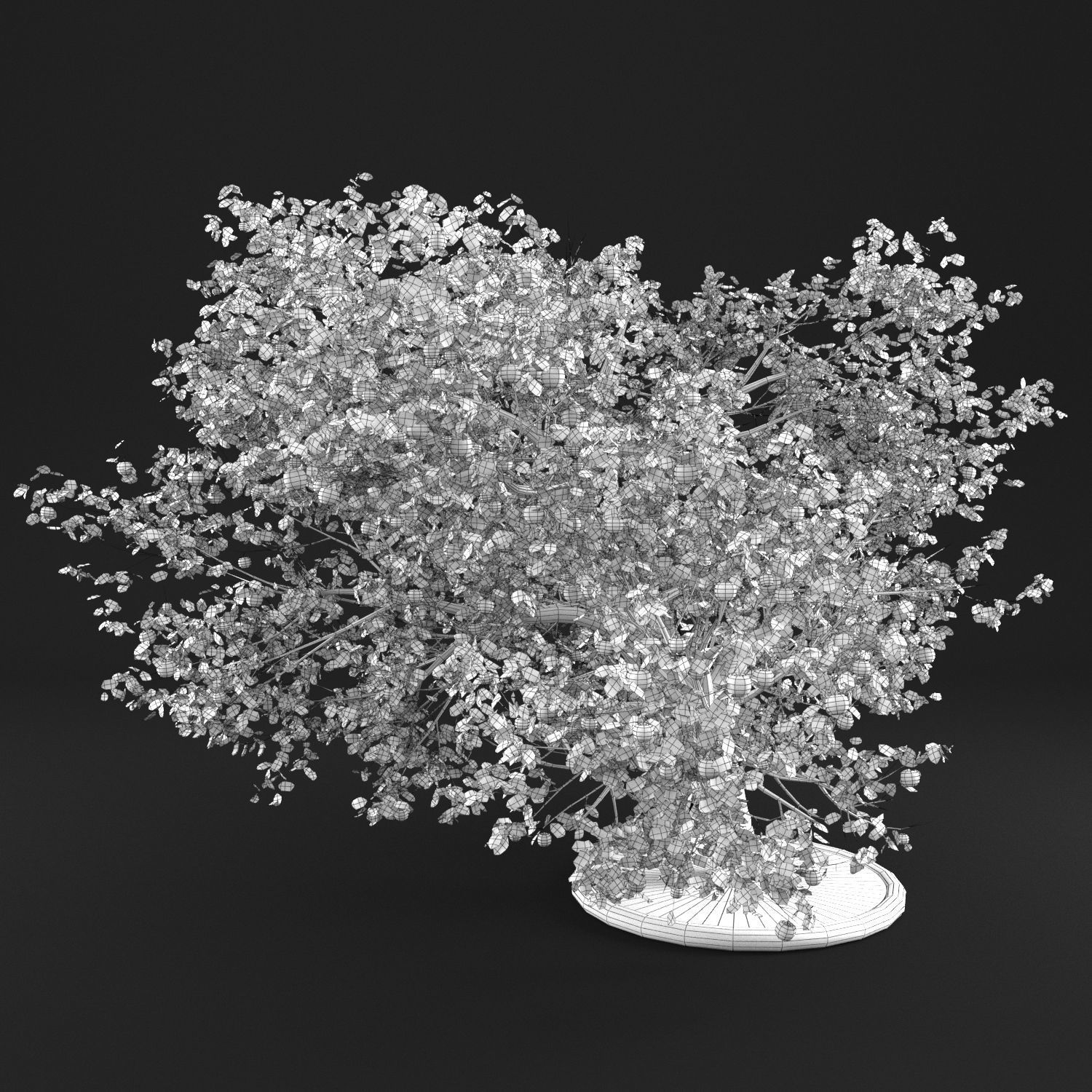 Apple Tree 3D model_11