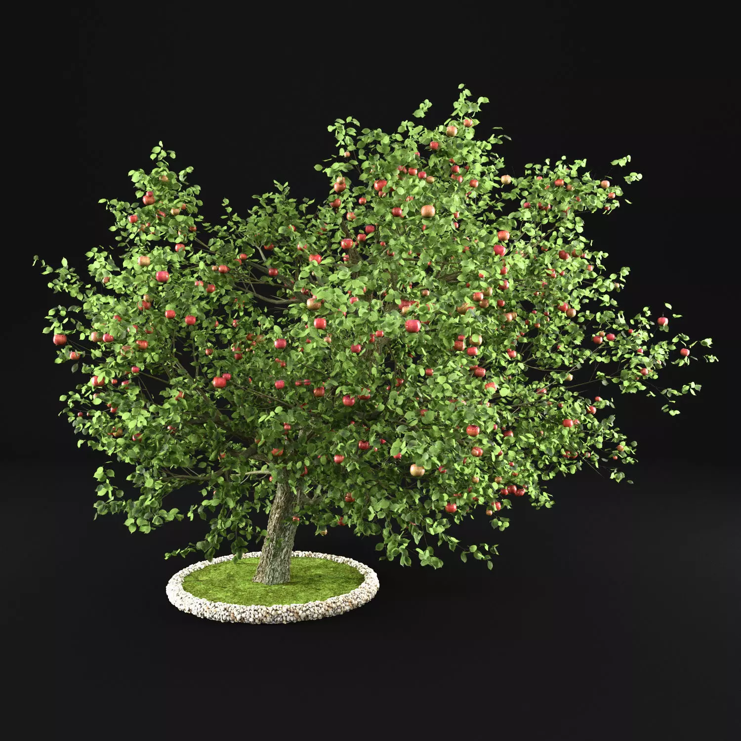 Apple Tree 3D model_0
