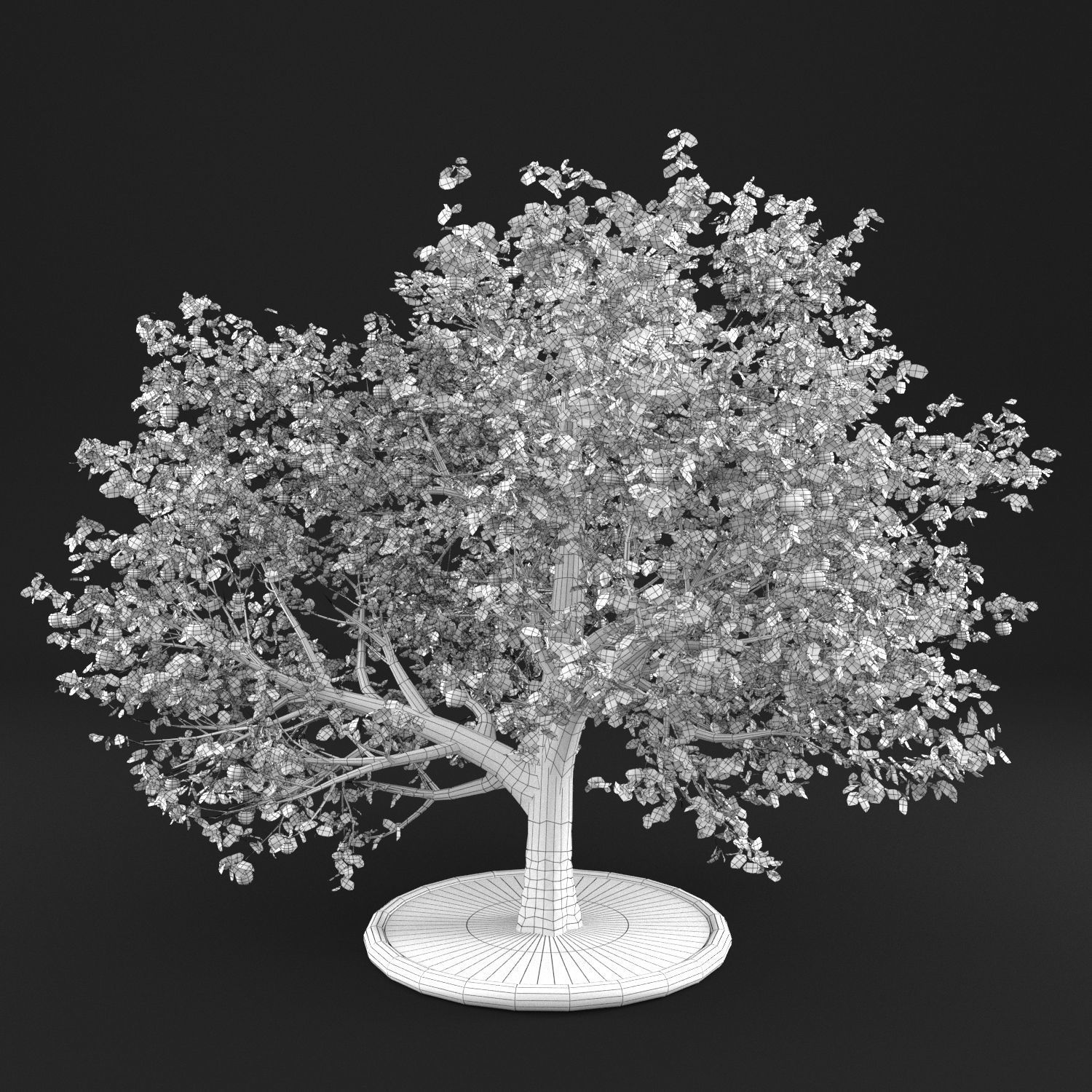 Apple Tree 3D model_8